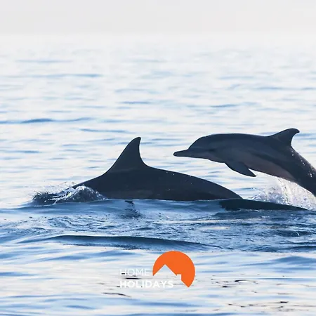 #097 Casa Antonieta 2 By Holidays Apartament Albufeira