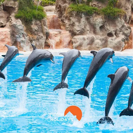 아파트 #097 Casa Antonieta 2 By Holidays *