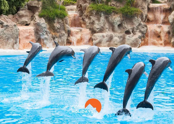 Apartment #097 Casa Antonieta 2 By Holidays *